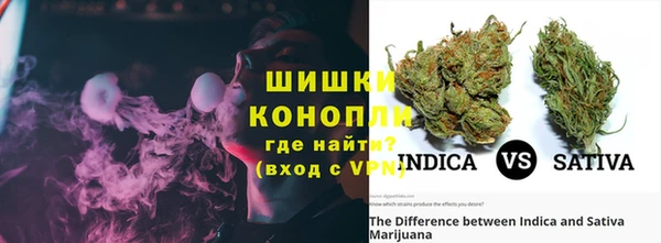 spice Горняк
