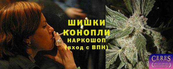 spice Горняк