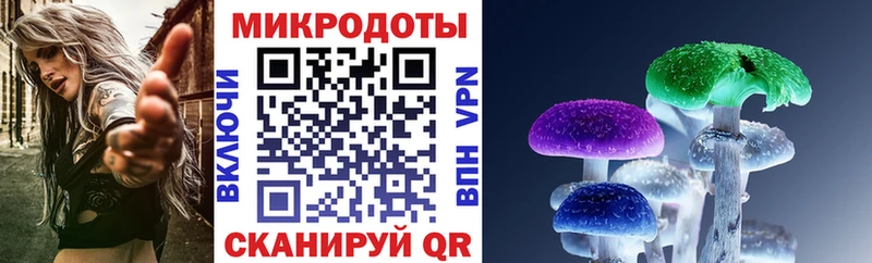 Купить где  Карталы  Псилоцибиновые грибы Psilocybine cubensis 